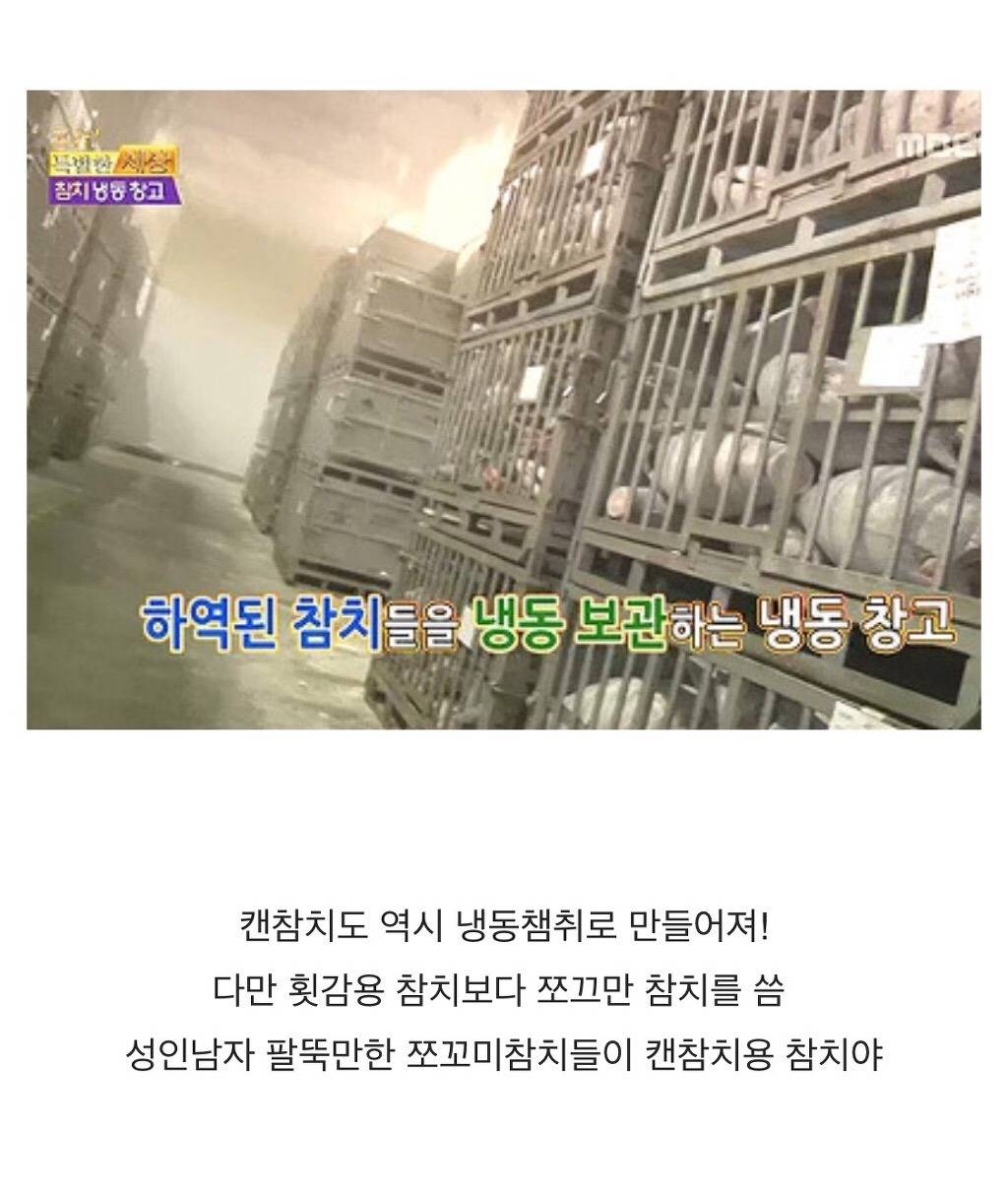 참치캔이 만들어지는 과정 | 인스티즈