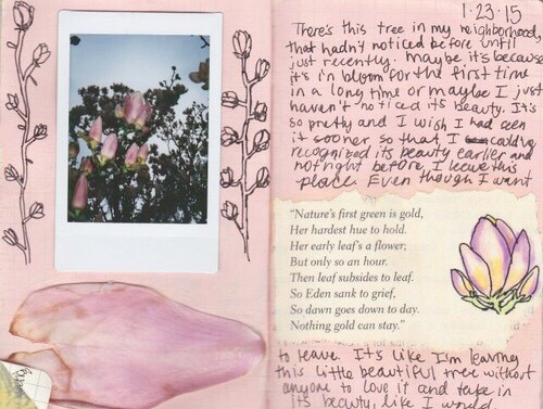 개성 넘치는 외국인들의 다이어리 | 인스티즈