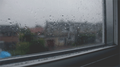 한 아이돌그룹이 팬들에게 전했던말들 | 인스티즈