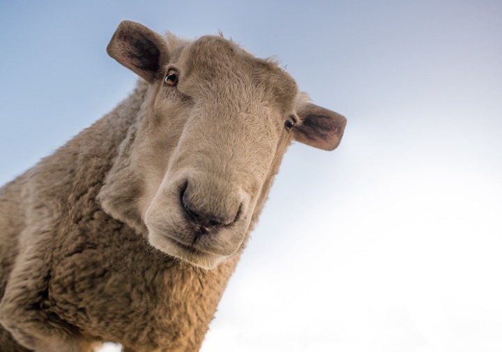 무시무시한 네모네모 멈뭄미믜 저주.. | 인스티즈