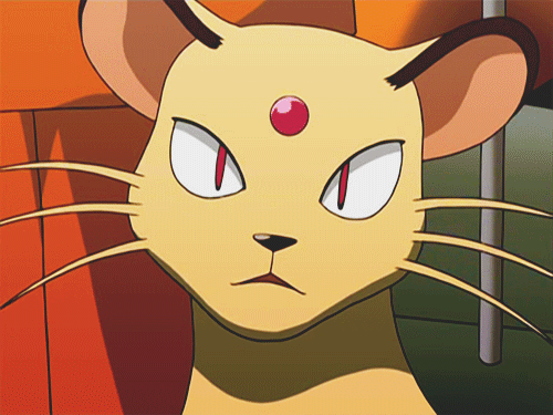 [애니] 고양이 관련 캐릭터 모음.jpg | 인스티즈