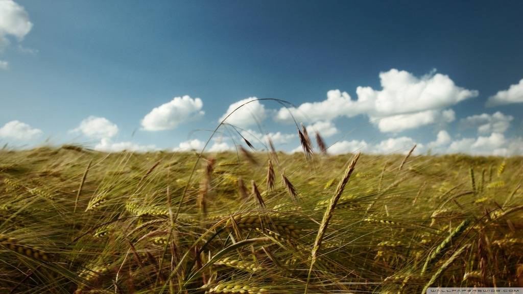 바람이 느껴지는 사진.jpg | 인스티즈