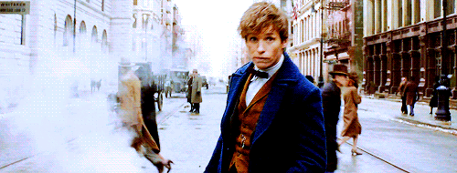 영화 신비한 동물사전 분위기.gif | 인스티즈