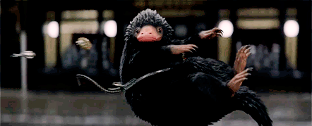 영화 신비한 동물사전 분위기.gif | 인스티즈