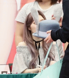 레드벨벳 토끼 아이린.gif | 인스티즈