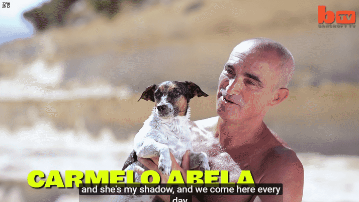 지중해 사는 멍뭉이 .gif | 인스티즈