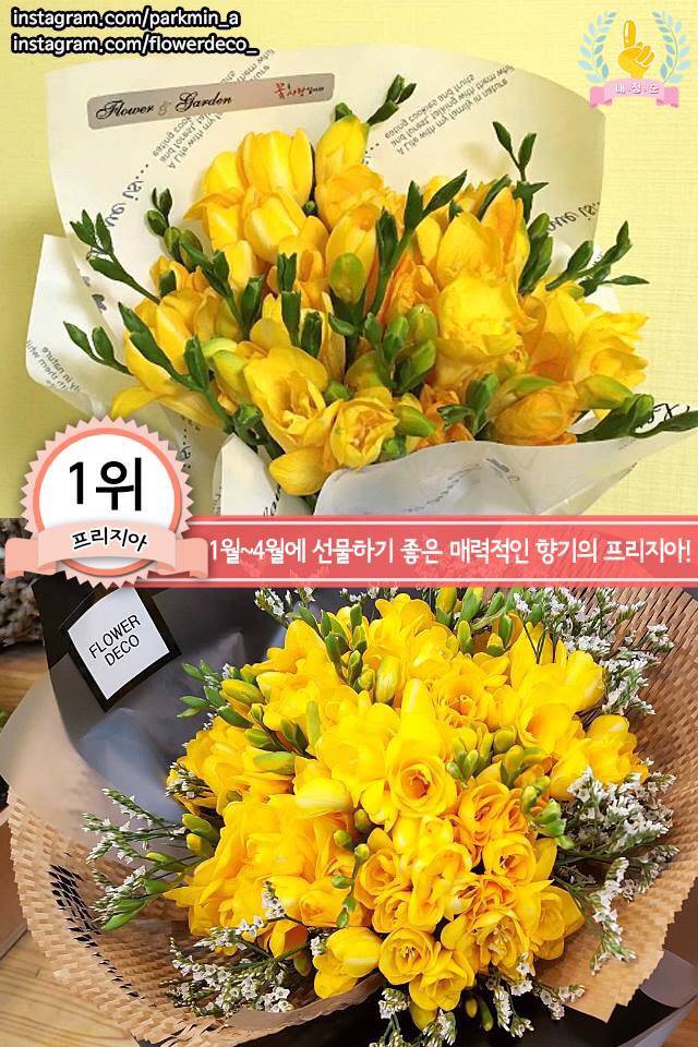 여자친구를 위한 봄 꽃다발 BEST | 인스티즈