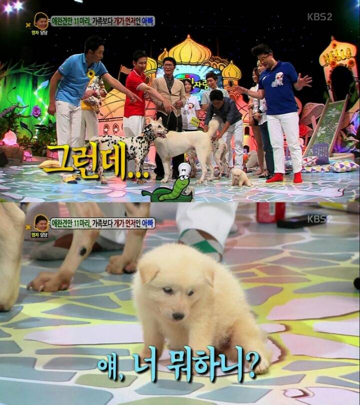 방송녹화 도중에 잠들어버리는 게스트.jpg (안녕하세요) | 인스티즈