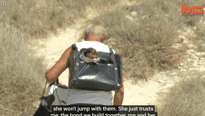 지중해 사는 멍뭉이 .gif | 인스티즈