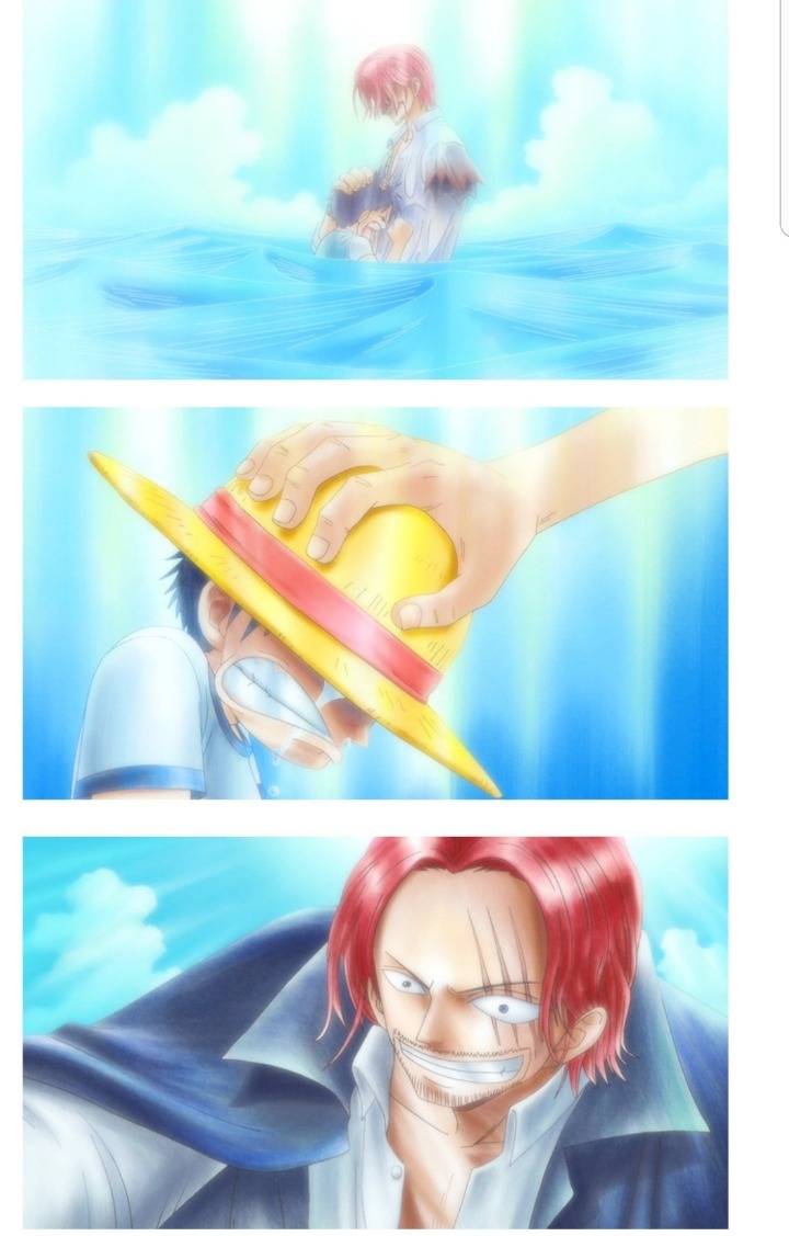 샹크스가 팔을 내준 이유.fact | 인스티즈