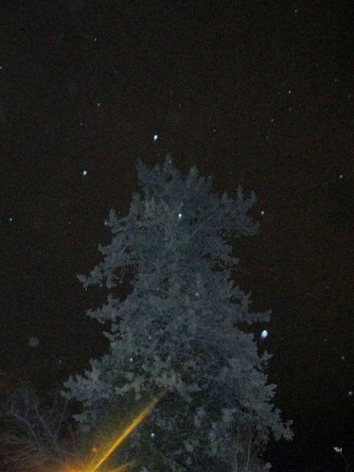 어쩌다 내 이름을 불러 준 그 목소리를 나는 문득 사랑하였다 | 인스티즈