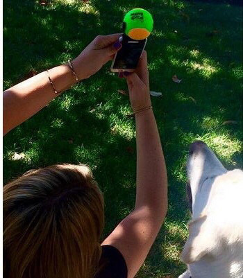 멍뭉이랑 쉽게 사진 찍는 방법 | 인스티즈