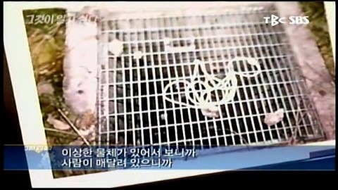 그것이 알고싶다 레전드 사건들.jpg | 인스티즈