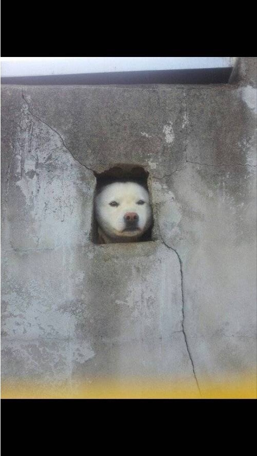 낮져밤이 모음 | 인스티즈