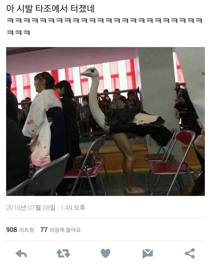 트위터 이것저것 드립 모음 (feat.의정부고 바니걸) | 인스티즈