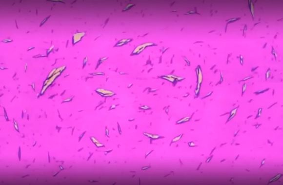 세일러문 역대급 민폐짓 | 인스티즈