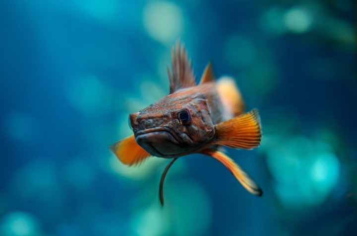 무시무시한 네모네모 멈뭄미믜 저주.. | 인스티즈