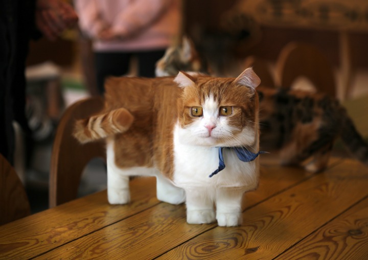 무시무시한 네모네모 멈뭄미믜 저주.. | 인스티즈