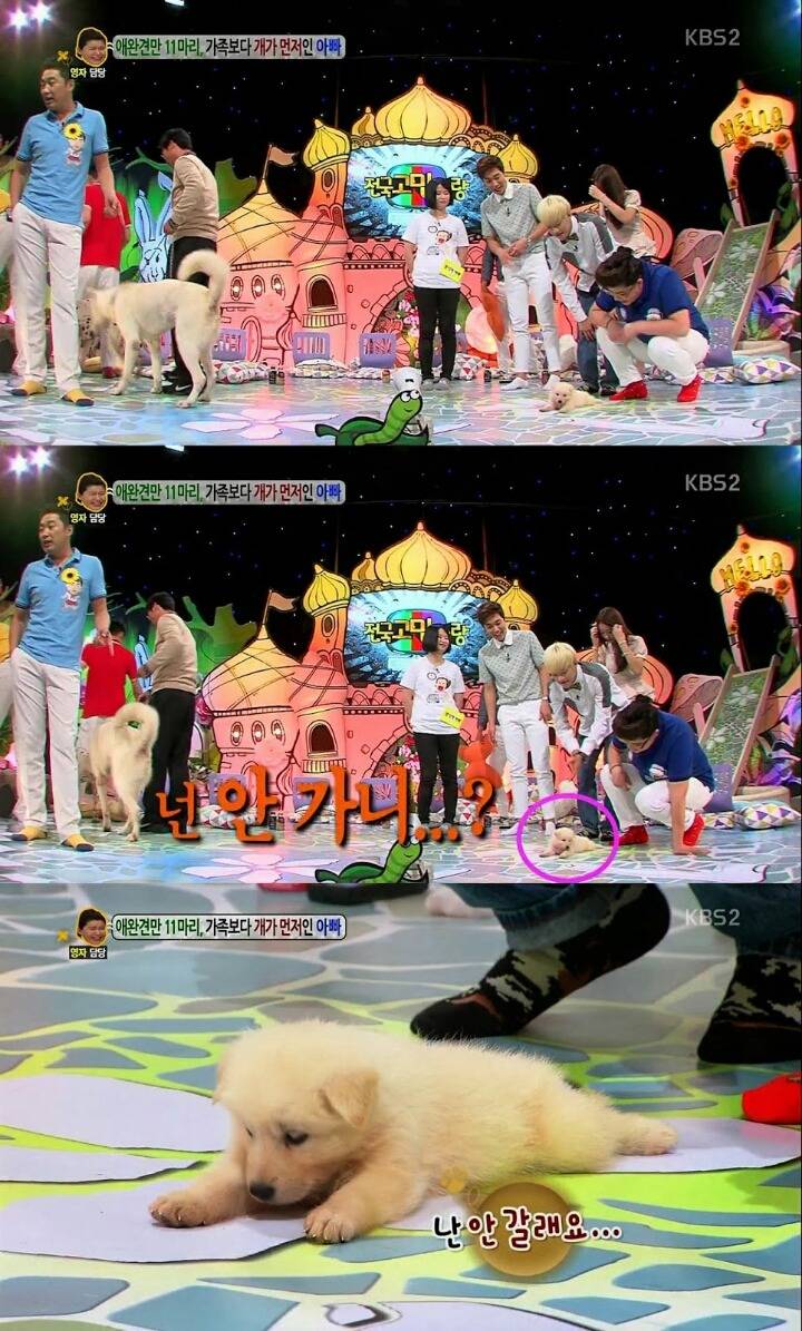 방송녹화 도중에 잠들어버리는 게스트.jpg (안녕하세요) | 인스티즈