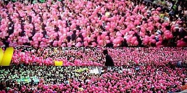 드림콘서트 걸그룹 팬들의 팬석 모습 | 인스티즈