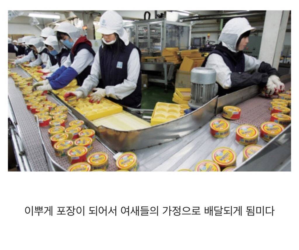 참치캔이 만들어지는 과정 | 인스티즈