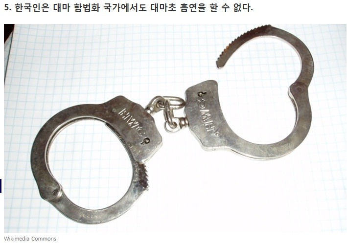 대마초에 관한 7가지 이야기 | 인스티즈