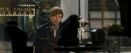 영화 신비한 동물사전 분위기.gif | 인스티즈