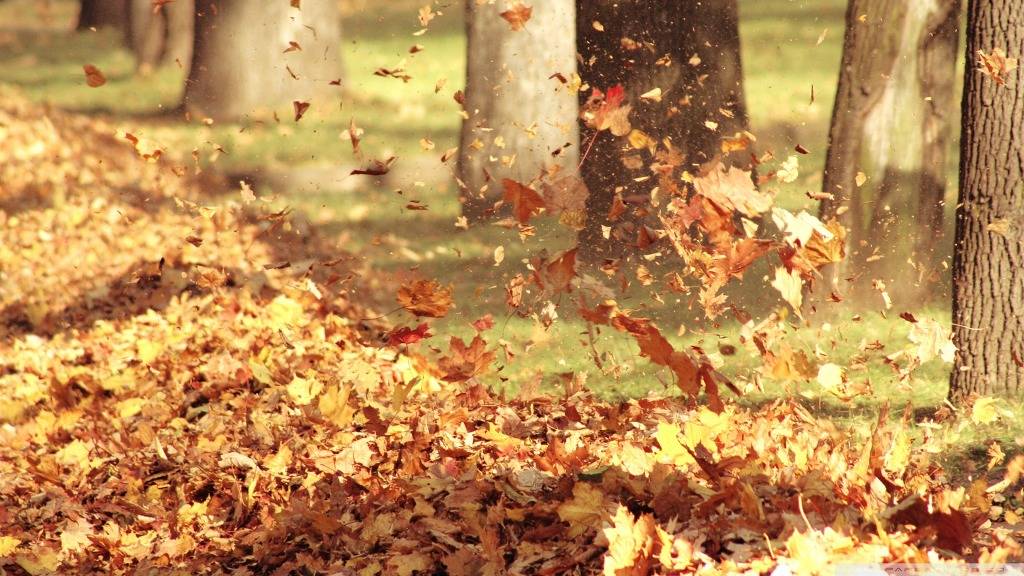 바람이 느껴지는 사진.jpg | 인스티즈