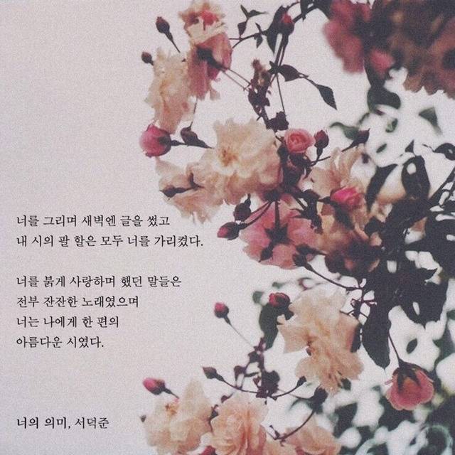 해는 다 졌고 꽃도 저물었고 하루가 죽었고 마음의 지평선 위로 별이 총총 눈을 떴고 달은 튕겨오르고 | 인스티즈