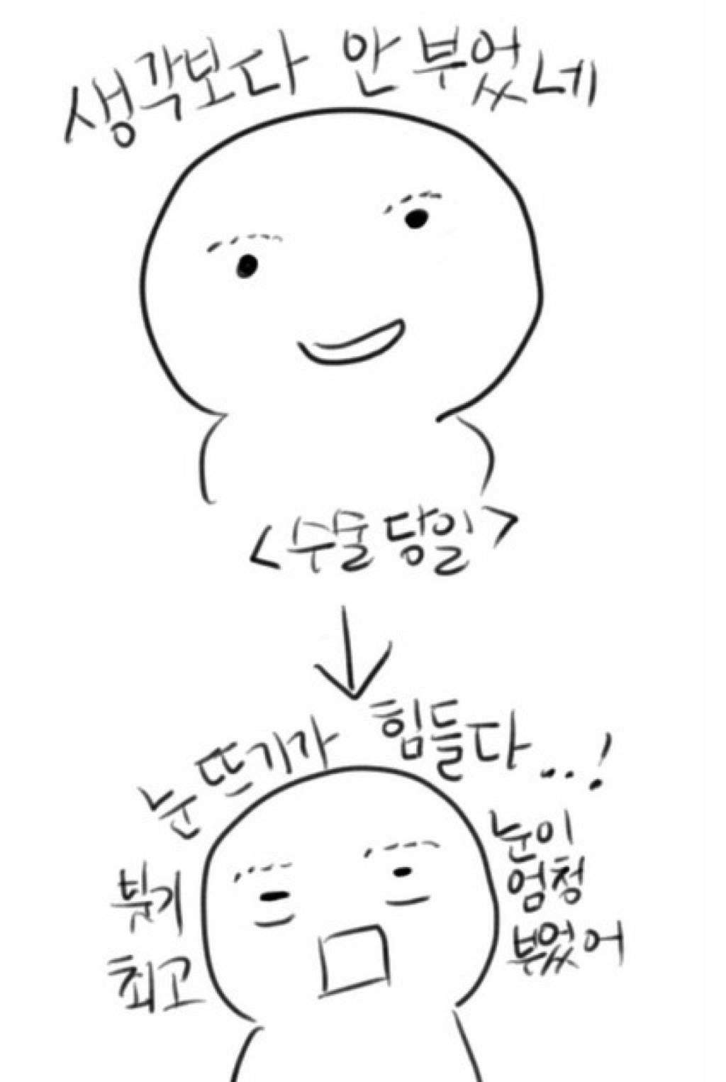 쌍꺼풀 수술한 사람들 공감 | 인스티즈