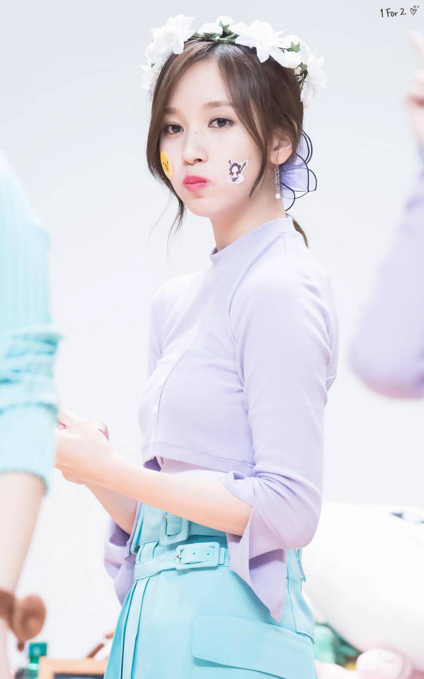 묘이 미나 + 펭귄 | 인스티즈