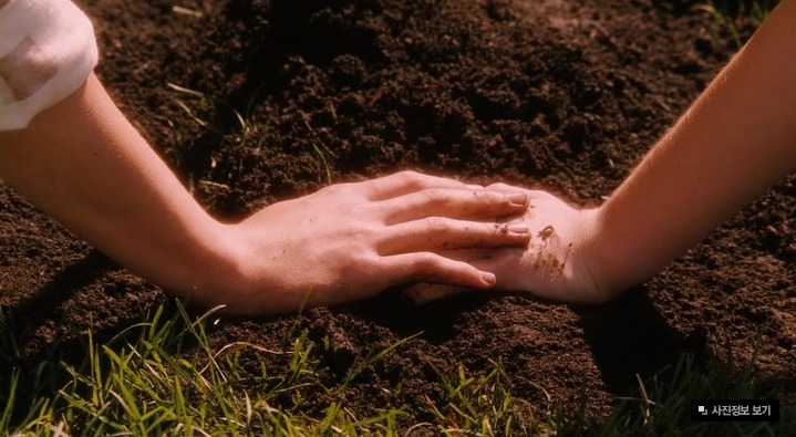 풋풋한 하이틴 로맨스 영화 | 인스티즈