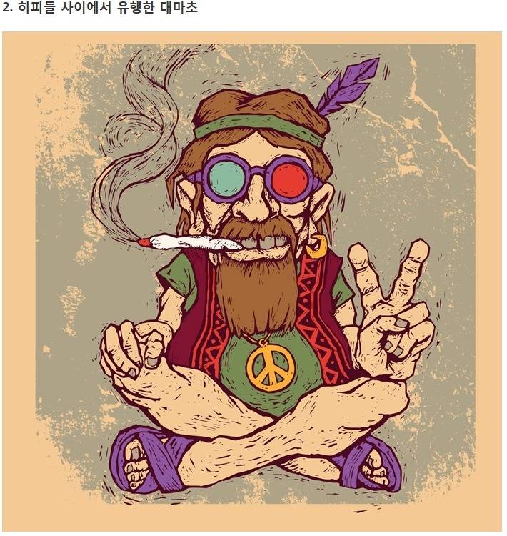 대마초에 관한 7가지 이야기 | 인스티즈