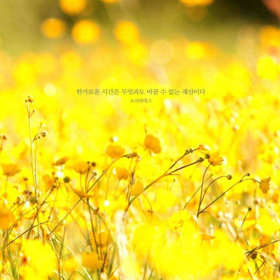 좋은글+핸드폰 배경화면 | 인스티즈