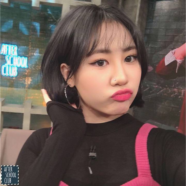 2018 ver. 제왑 얼굴상 분류 ＜＜NEW! | 인스티즈