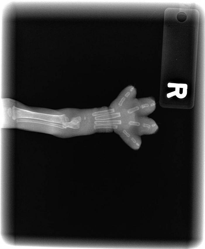 많은 여자들이 열광하는 남자 신체부위.jyp | 인스티즈