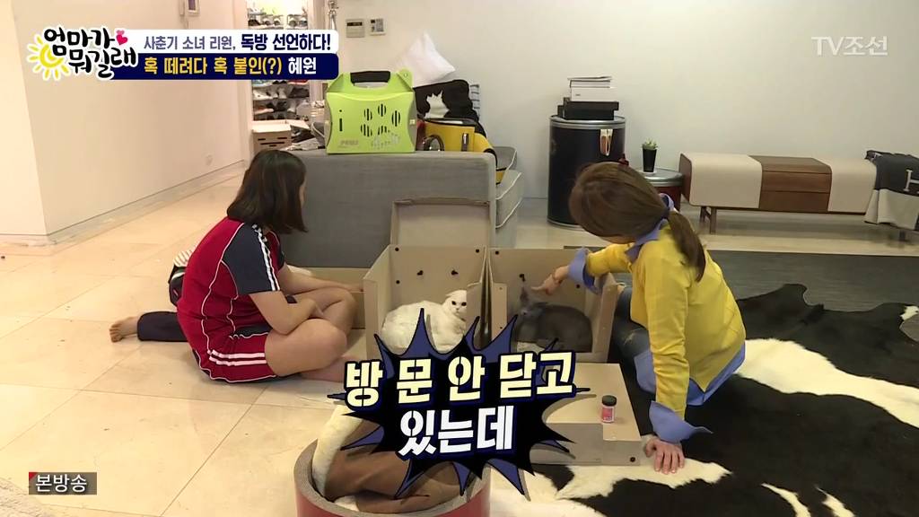 리환이와 각방 쓰고 싶은 리원vs아직 안된다는 엄마 | 인스티즈