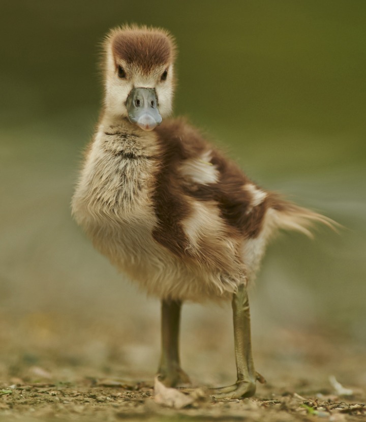 무시무시한 네모네모 멈뭄미믜 저주.. | 인스티즈