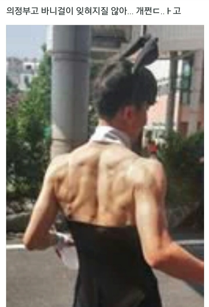 트위터 이것저것 드립 모음 (feat.의정부고 바니걸) | 인스티즈