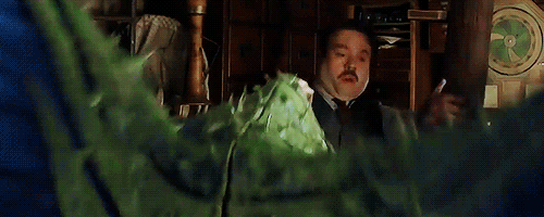 영화 신비한 동물사전 분위기.gif | 인스티즈