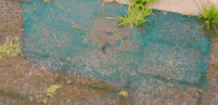 [질투의화신] 이렇게 연출 디테일한 드라마 처음 봄 01 | 인스티즈