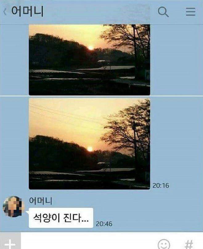 ??? : 석양이.... 진다.... | 인스티즈