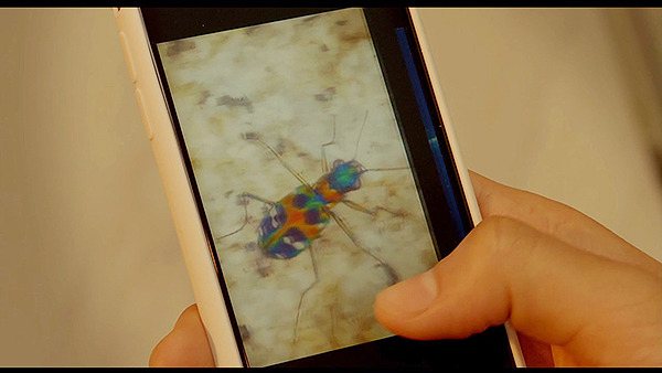 [히로인실격] 남주들 얼굴이 제일 재밌는 일본 하이틴영화 完 | 인스티즈