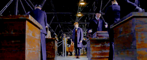 영화 신비한 동물사전 분위기.gif | 인스티즈