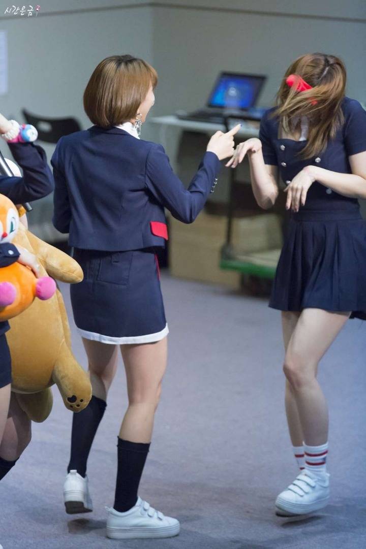 아기 호랑이한테 잡아먹히는 사나.jpg | 인스티즈