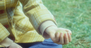 [늑대소년] 늑대소년(송중기) 조련 개쩌는 순이(박보영) | 인스티즈