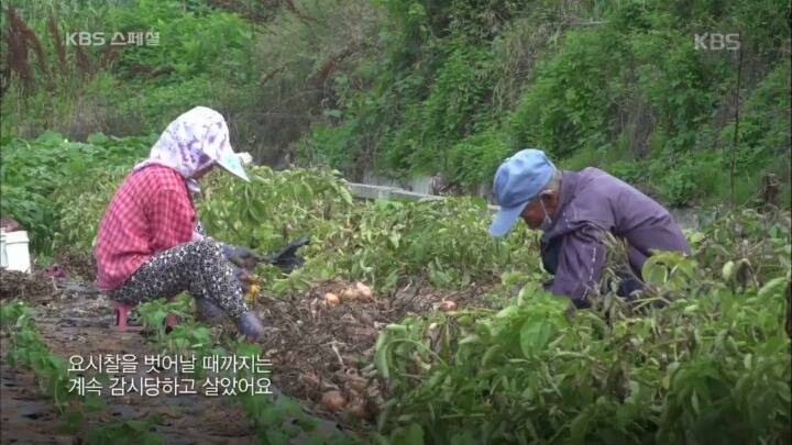 1960년대 북한에 납치됐다가 돌아온 사람들의 삶 | 인스티즈