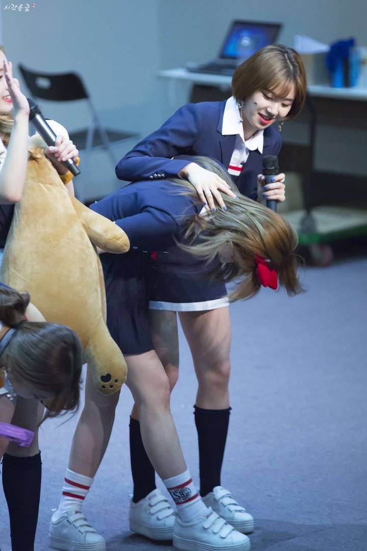 아기 호랑이한테 잡아먹히는 사나.jpg | 인스티즈