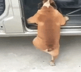 신기한 키보드 | 인스티즈