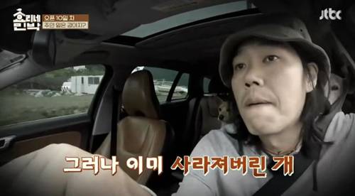 [효리네민박] 길에서 만난 강아지. jpgif | 인스티즈